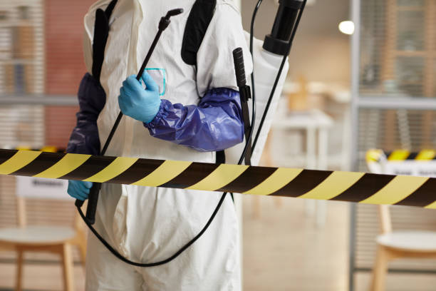 Professional Sewage Cleanup technician working in Lyme, NH